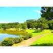 公園