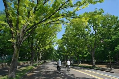 駒沢オリンピック公園