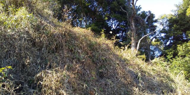 物件画像 北九州市若松区 大字修多羅 (若松駅) 畑・農地用地