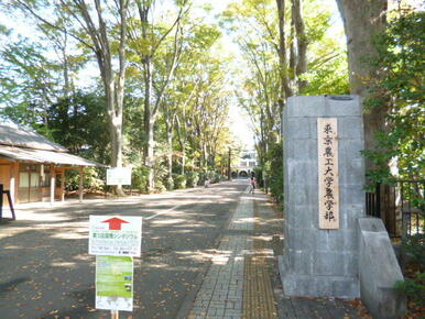 国立東京農工大学