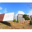 大学