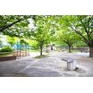 公園