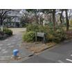 公園