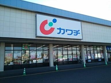 カワチ栃木インター店