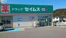 ドラッグセイムス海南野上店様