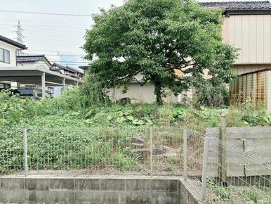 北側からの眺め