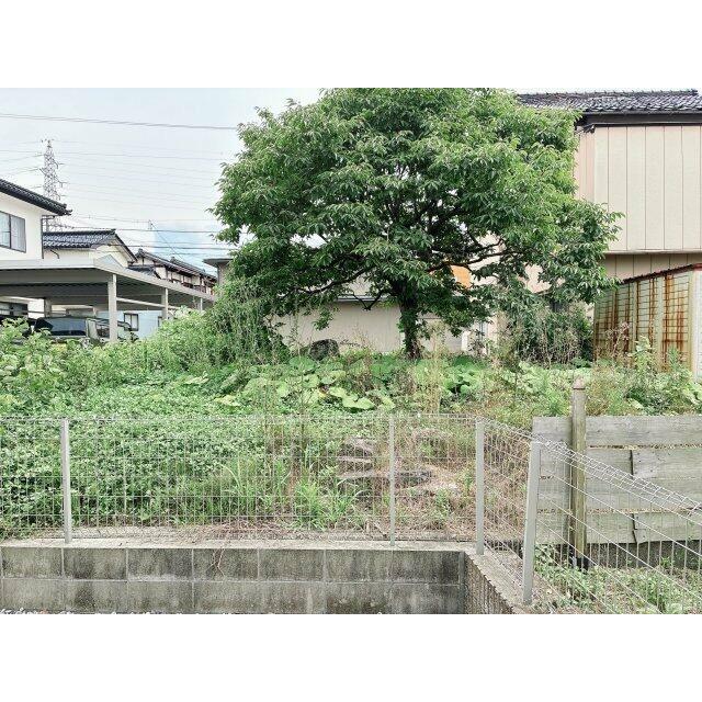 北側からの眺め