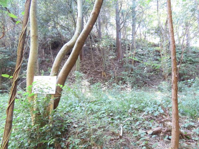 物件画像 福岡市西区 今宿上ノ原 (今宿駅) その他用地