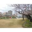 公園