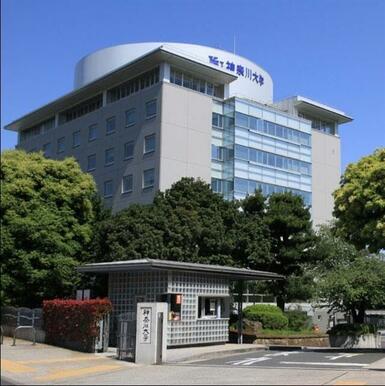 神奈川大学