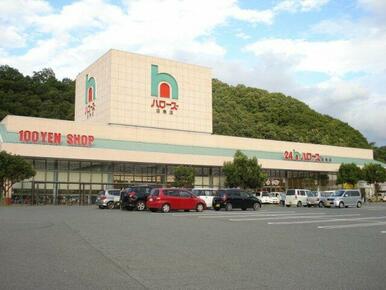 ハローズ 沼南店