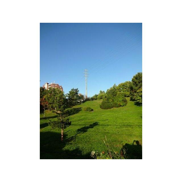 平岸高台公園　徒歩３分