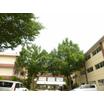 中学校