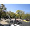 公園