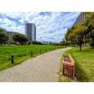 公園