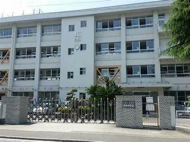 拓南中学校　924ｍ　徒歩12分