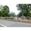 公園