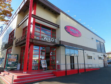 ＷＩＬＤ－１仙台東インター店