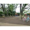 公園