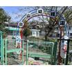 幼稚園、保育園