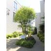 共有部分