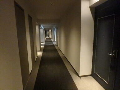 共用廊下です。ホテルライクなカーペット敷き内廊下仕様です