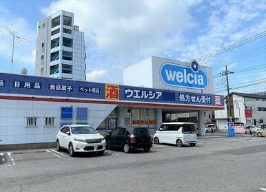 ウエルシア小山天神店