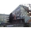 中学校