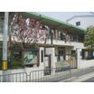 幼稚園、保育園
