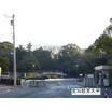 大学
