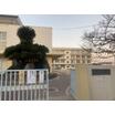 小学校