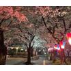公園
