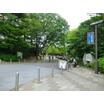 公園