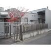 幼稚園、保育園