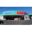 販売店