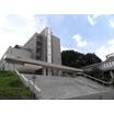 大学