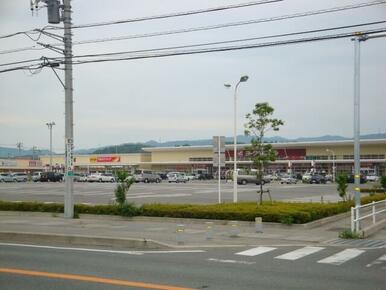 ヨークベニマル