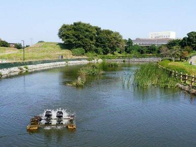 呉羽山公園都市緑化植物園