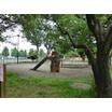 公園