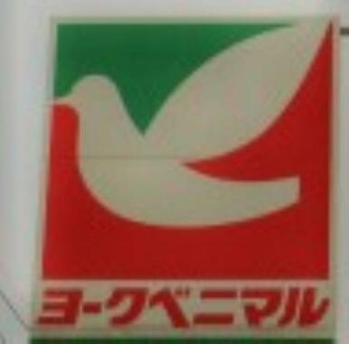 ヨークベニマル今泉店　1054ｍ/徒歩14分、車3分