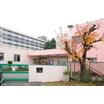 幼稚園、保育園