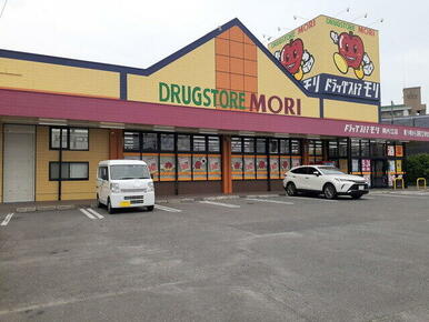 ドラッグストアモリ南片江店