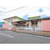 幼稚園、保育園