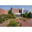 大学