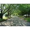 公園
