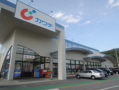 カワチ薬品戸祭南店