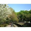 公園