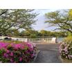 公園