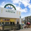 幼稚園、保育園