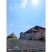 幼稚園、保育園